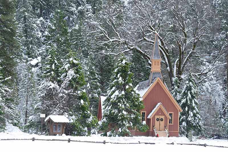 10 best things to do in yosemite national park with snow on pine trees