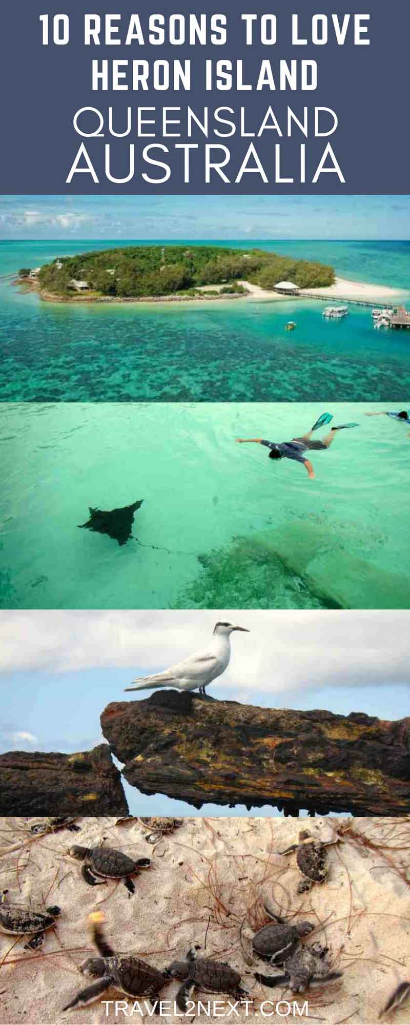 10 reasons to love Heron Island