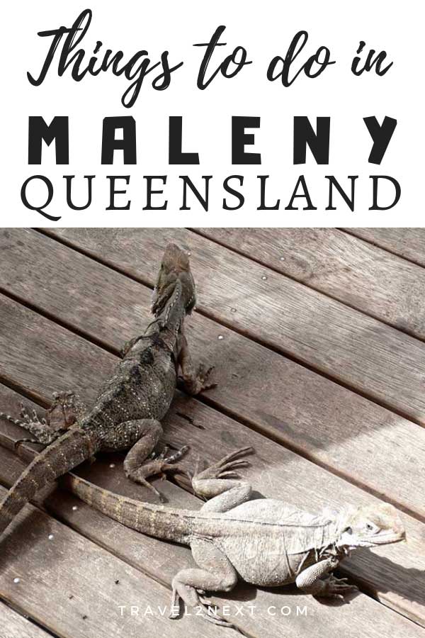 11 Things to do in Maleny 2
