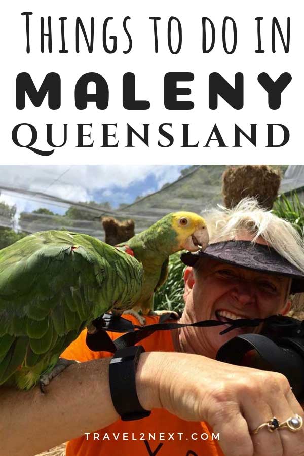 11 Things to do in Maleny