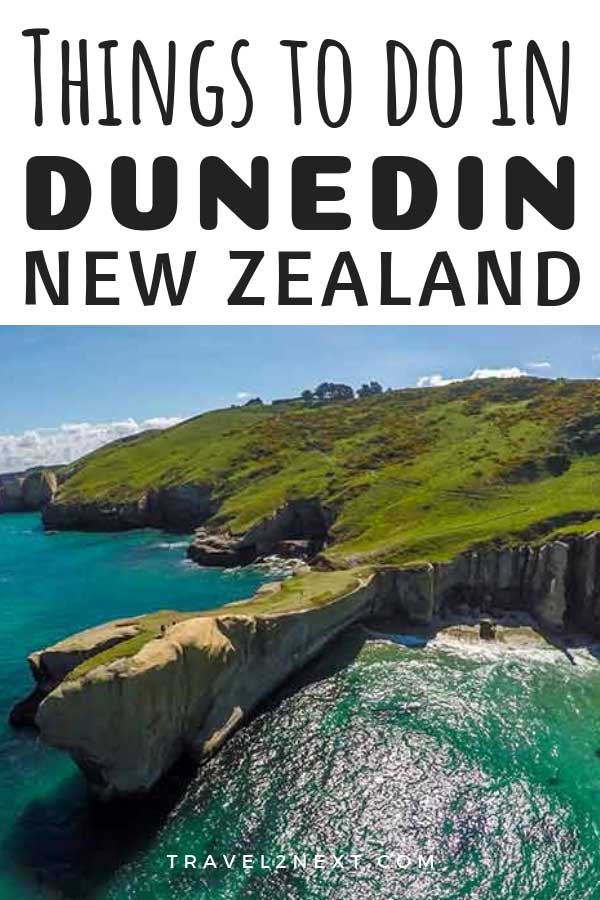 15 Amazing Things to do in Dunedin