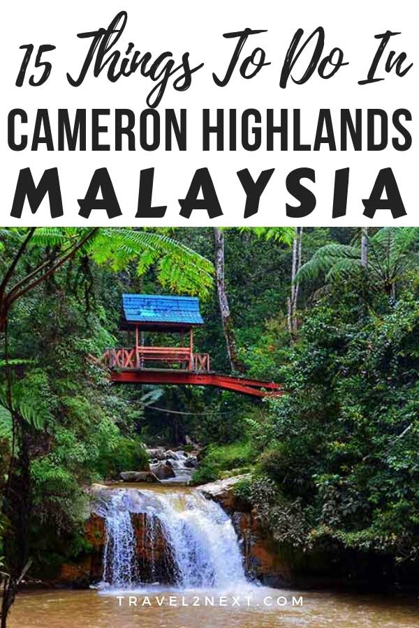 15 Things To Do In Cameron Highlands 