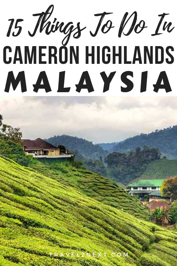 15 Things To Do In Cameron Highlands