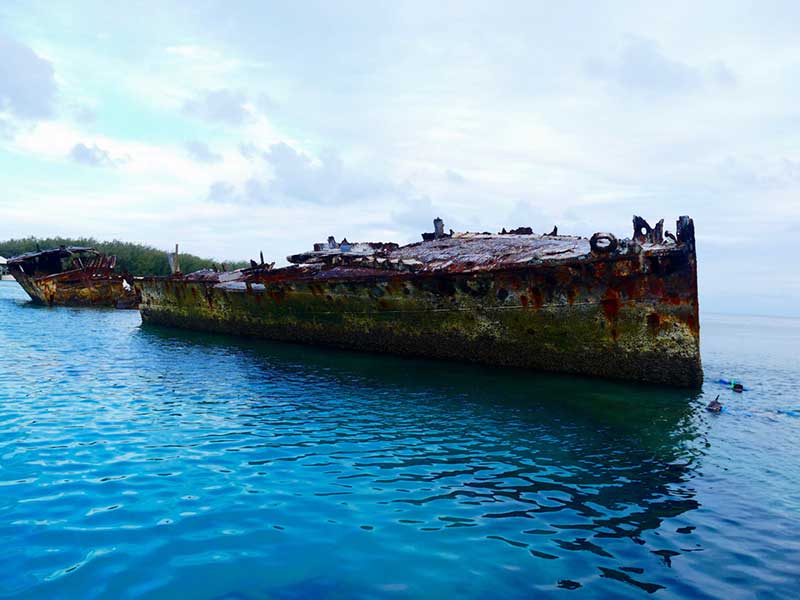 heron island resort