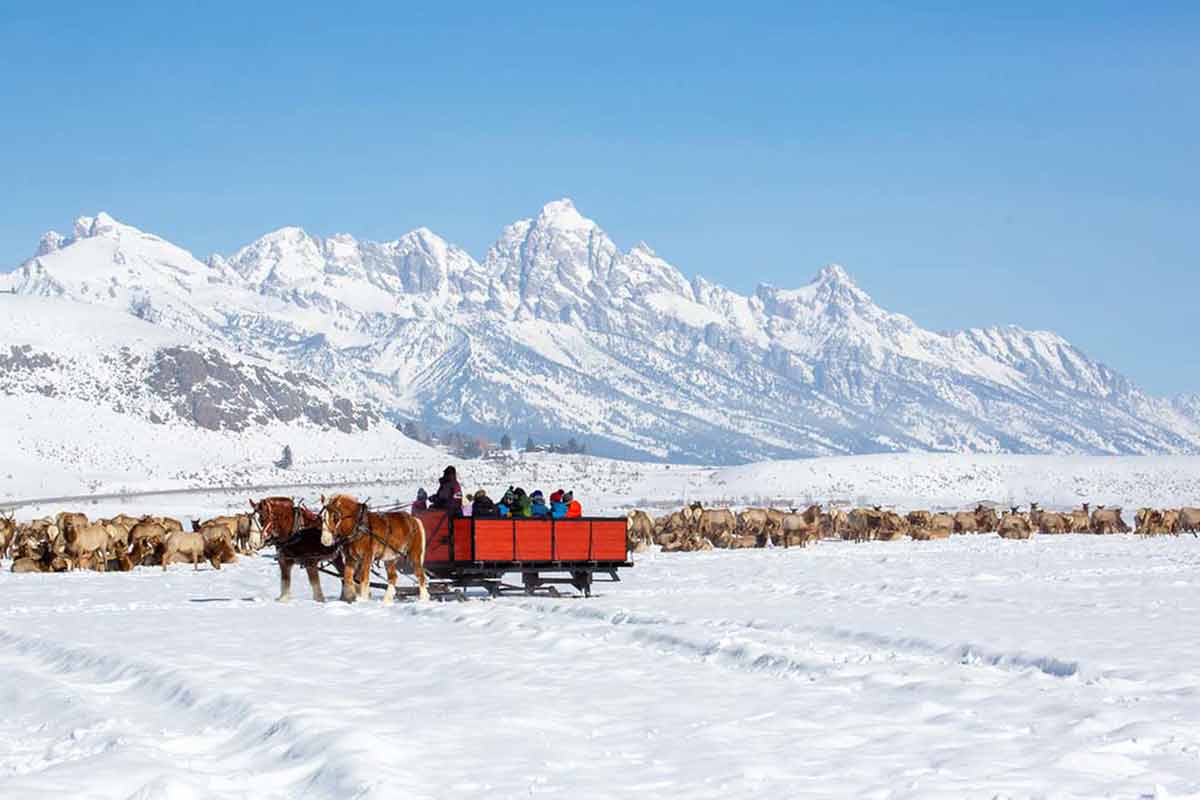 10 BEST THINGS THAT SHOULD DO IN JACKSON HOLE IN WINTER - Tourism over ...