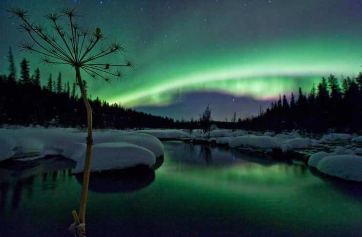 35 Yukon Facts That Will Leave You Absolutely Amazed yukon facts