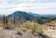 These Arizona Road Trips Are Straight Out Of A Movie Phoenix Desert