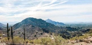 Phoenix Desert