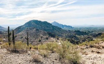 These Arizona Road Trips Are Straight Out Of A Movie Phoenix Desert