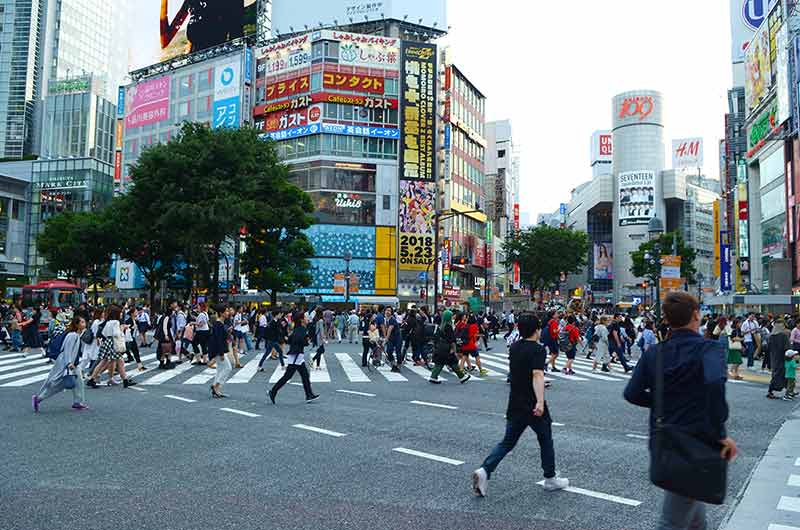 Shibuya Crossing Tokyo Japan