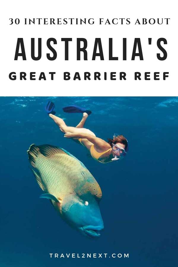 30 Amazing Great Barrier Reef Facts