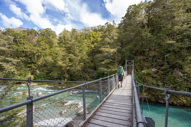 Routeburn Track Guided Walk (Half Day)