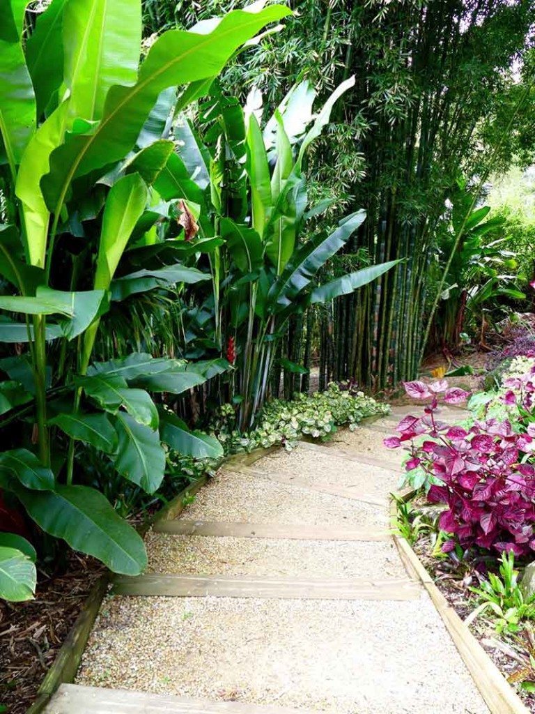 Pathway framed by heliconias at Crystal Castle
