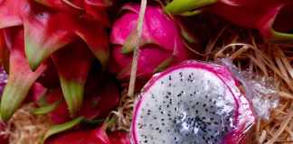Red dragon fruit at Tropical Fruit World.