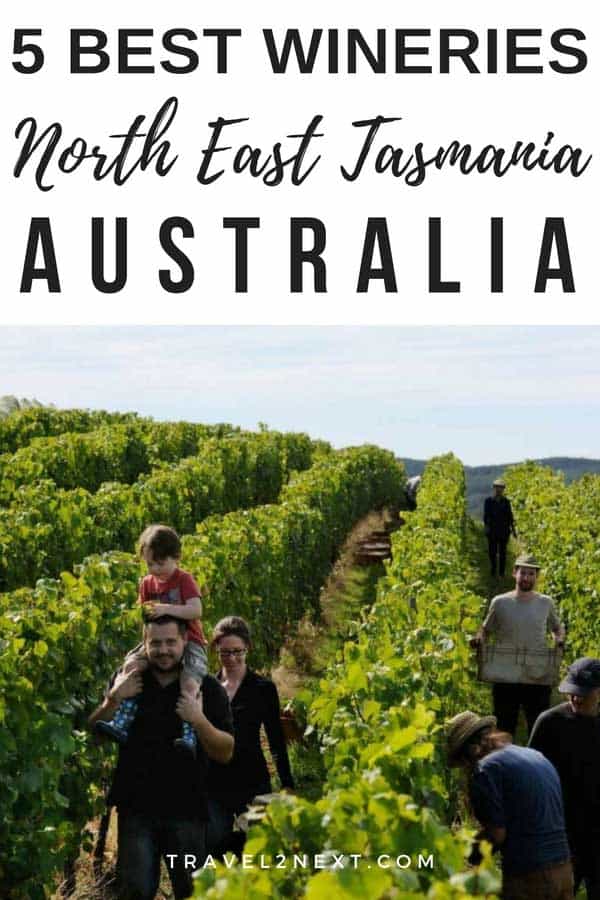 5 Wineries in Tasmania’s North East 