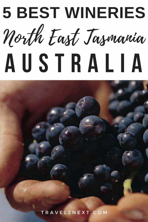 5 Wineries in Tasmania’s North East