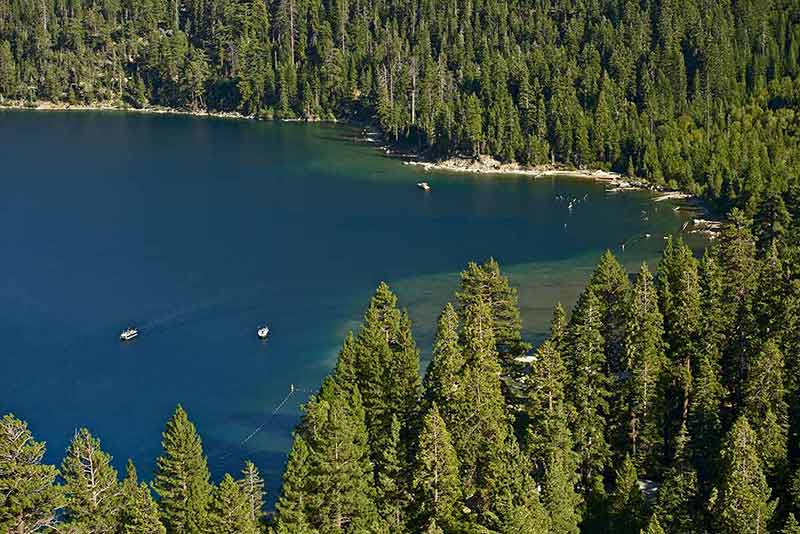 5 best day trips from san francisco summer trees and lake