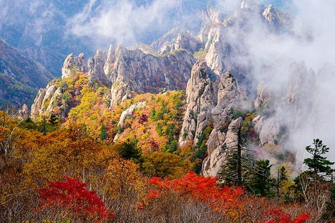 Essential Autumn foliage of Korea 3 days with Sorak and Odaesan Mountain