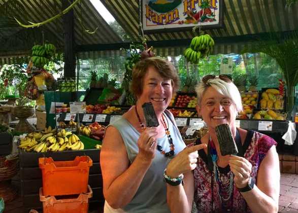 Tropical Fruit World in Northern NSW is Fun For Fruit And Rides
