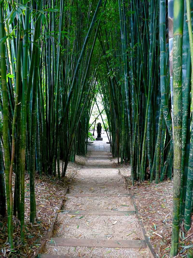 Crystal Castles Shimbala Garden bamboo walk