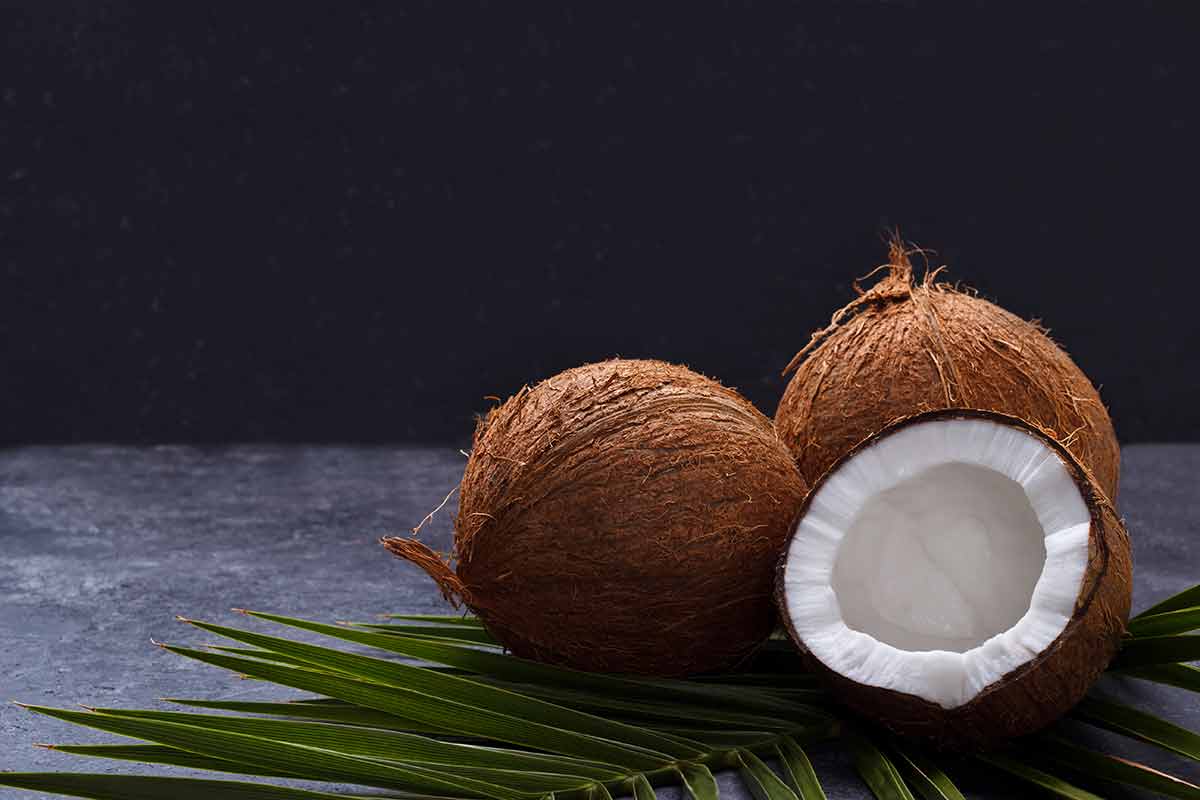Coconut coconuts over black rustic background. Organic healthy food concept.