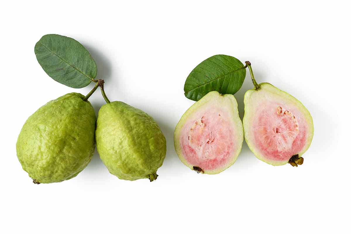 Pink guava on white background