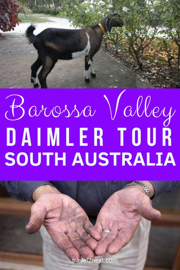 Barossa Valley Wine Tour by Daimler