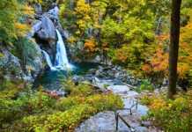 15 Stunning State Parks In Massachusetts You’ll Wish You’d Discovered Sooner Bash Bish Falls State Park waterfall cascading into a pool in the fall