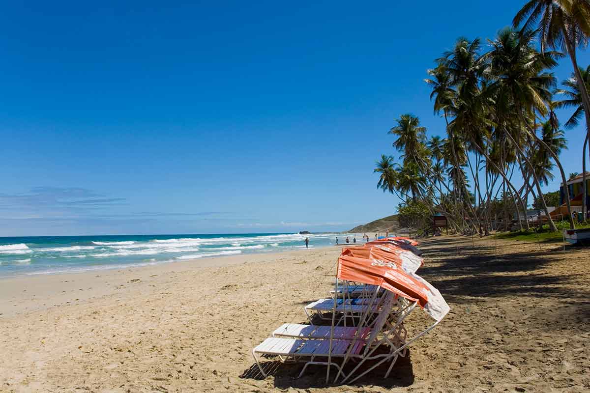 Beaches in Venezuela Margarita Island local sun beds with tall palms in background