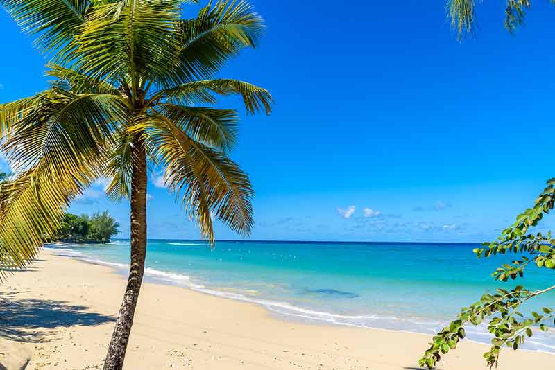 Beaches of Barbados Mullins Beach