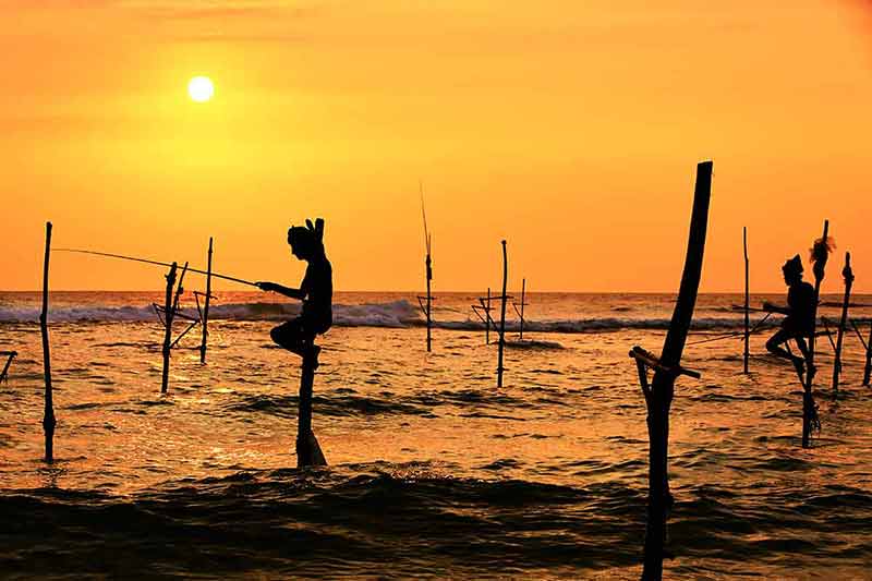 Best beaches in Colombo Sri Lanka Stilt fishing at dusk