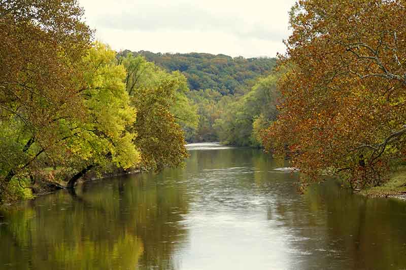 the river flanked by large trees in Brandywine Creek State Park Delaware