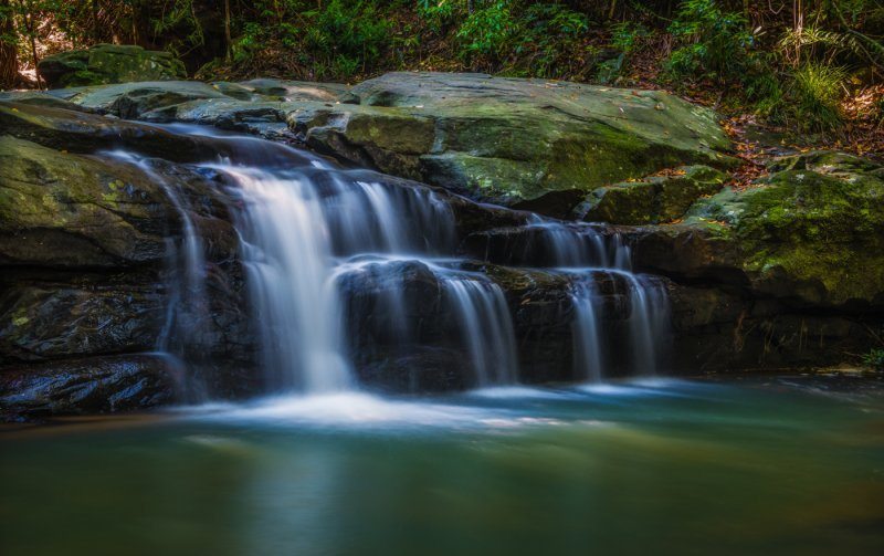 Buderim Forest Park by Nathan White