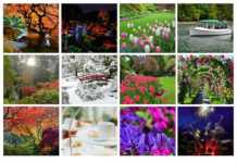 Butchart Gardens: Why This Garden is a Year-Round Fairy Tale butchart gardens tours