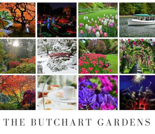 butchart gardens tours