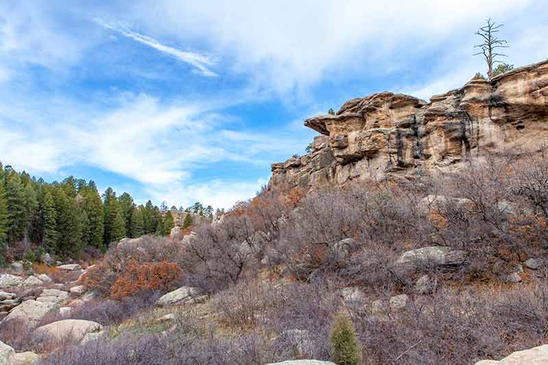 rocks and bushes in Castlewood Canyon State Park Colorado