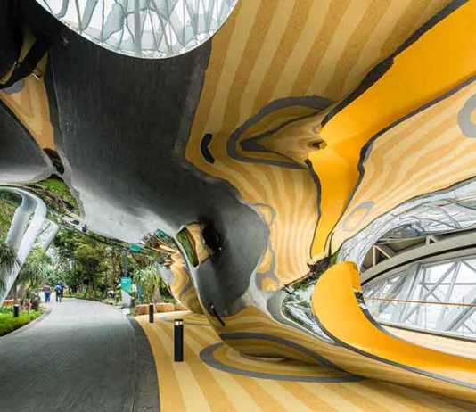 Changi Airport Canopy Park Discovery Slides