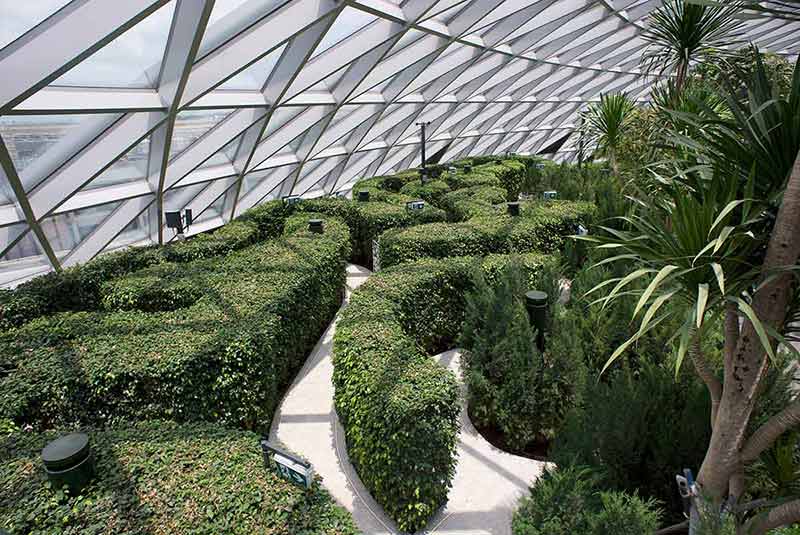 Changi Airport Canopy ParkHedge Maze