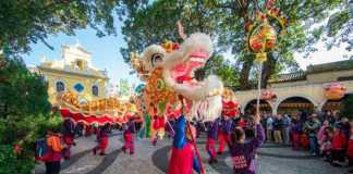 Chinese New Year macau festival