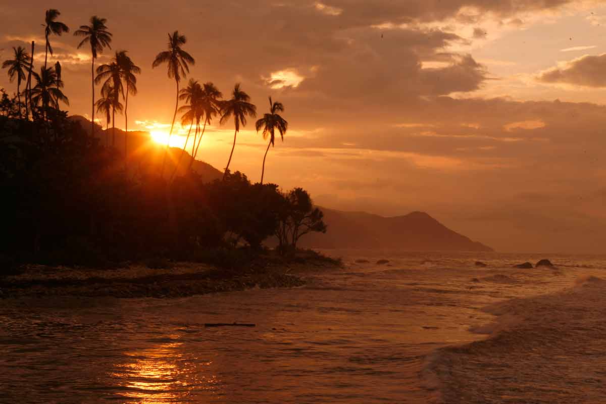 Choroni Beach Venezuela orange sunset with palm trees in silhouette