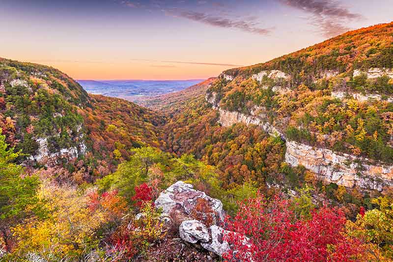 Fall colours in Cloudland Canyon State Park Georgia