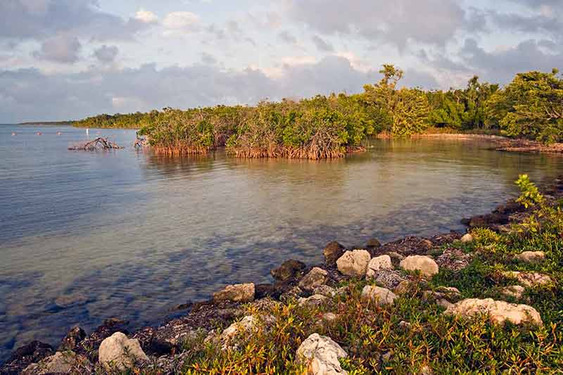 Day trips from Miami to Biscayne National Park at sunset
