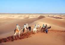 The Best Deserts in the World That Feel Like Another Planet Deserts in the world (sahara desert)