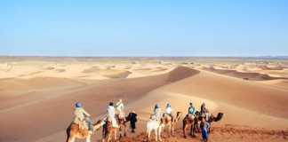 Deserts in the world (sahara desert)