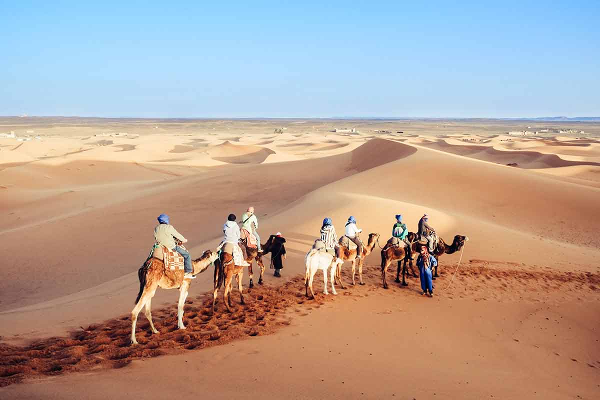Deserts in the world (sahara desert)