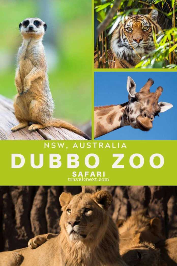 dubbo zoo virtual tour