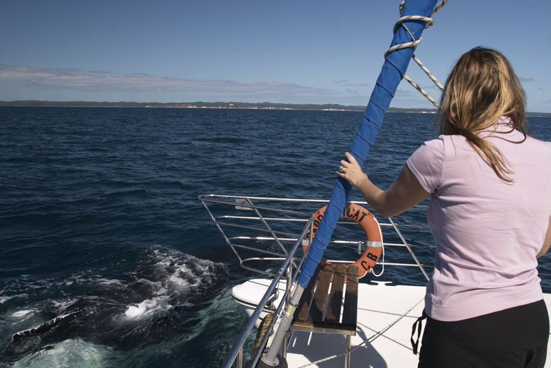 fraser island catamaran hire