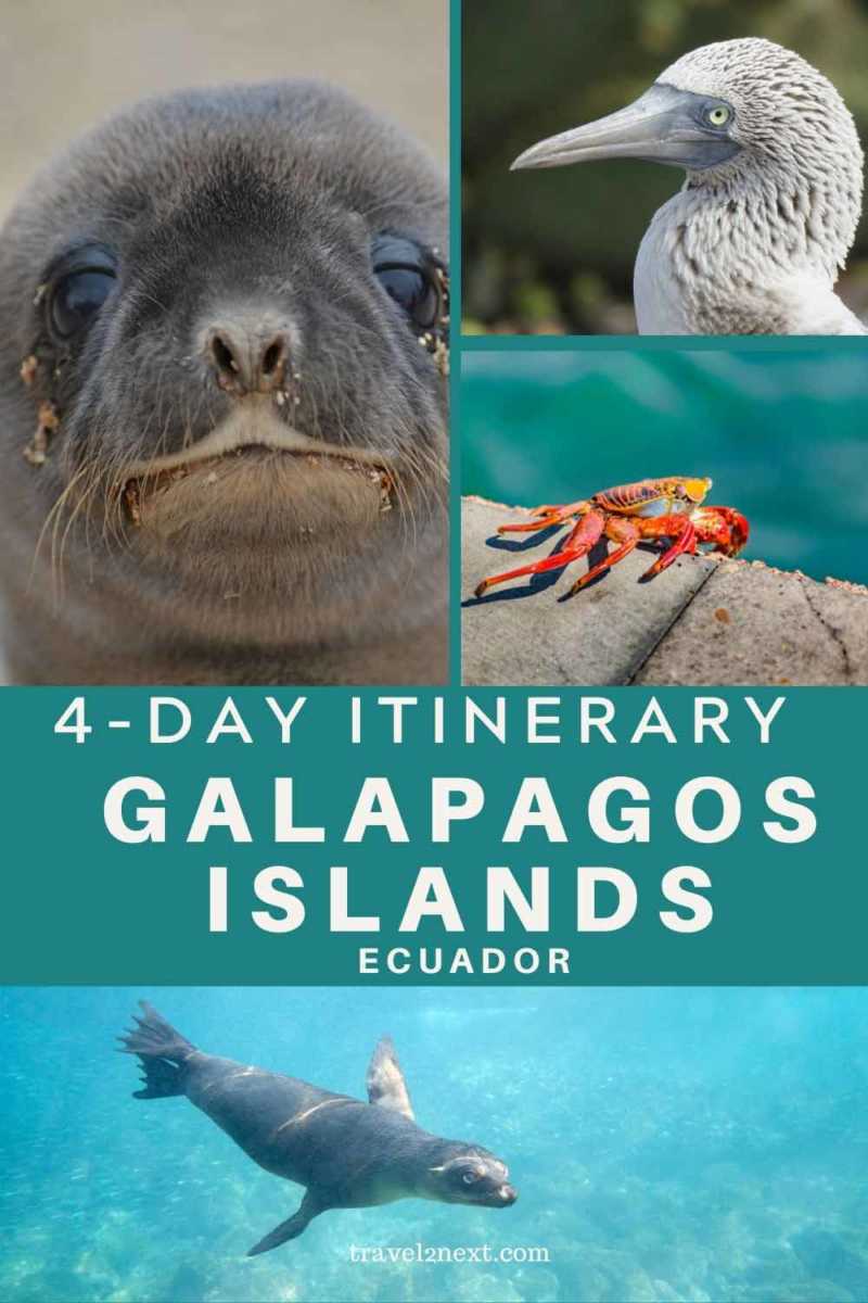 Galapagos Islands Itinerary