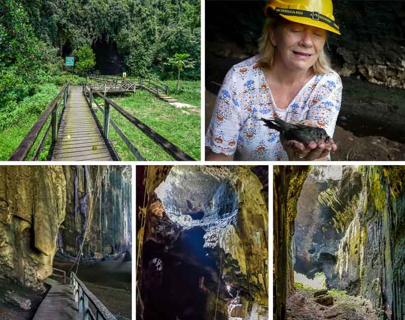 Gomantong Caves - best place in Sabah