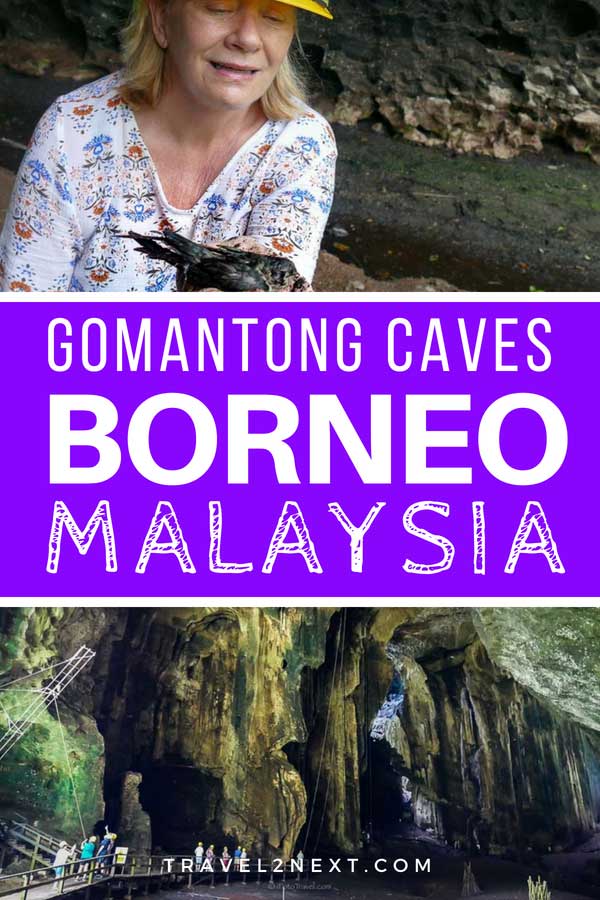 Gomantong Caves in Borneo